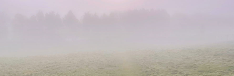 Miracles of Psychic Phenomena header photo